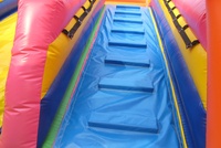 Toboggan gonflable sec de ville amusante d'animaux drôles toboggan gonflable de videur pour les enfants