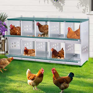 Pondoir mural métallique à 10 compartiments en acier galvanisé pour poules, ventilé, pour une collecte facile des œufs, haute productivité, entrepôt USA - Product Image 5