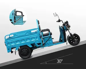 중국 3 륜 1000W 가솔린 엔진 트럭 오토바이화물 전기 세발 자전거