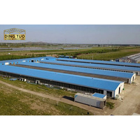 Estructura de Acero Prefabricada de Gran Resistencia, Almacén de Gran Envergadura, Taller, Hangar, Granja Industrial Agrícola, Establos para Vacas, Gallineros