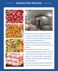 Máy làm lạnh nhanh tự động Huchuan kiểu đường hầm 100kg 200kg 300kg 500kg - Product Image 3