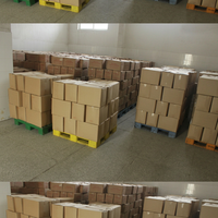 Cerneaux d'arachides bruts blanchis d'origine Shandong, faible teneur en aflatoxine, approvisionnement en vrac pour la fabrication du chocolat