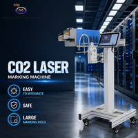 Marcador de Grabado Láser de CO2 Industrial IPS-LC60 F MG con Campo de Marcado Opcional de 300*300 mm para Codificación