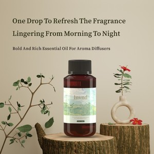 Diffuseurs d'arômes aux huiles essentielles naturelles GuLing - Liquide transparent jaune clair, parfum pour hôtels, lieux de divertissement, <span class=keywords><strong>5</strong></span> étoiles - Product Image 2