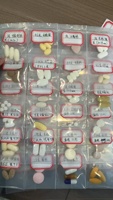 Complément alimentaire naturel et biologique Power Plus pour hommes adultes, capsules énergétiques pour la santé et l'agrandissement