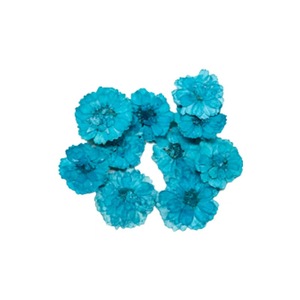 Commercio all'ingrosso piccolo <span class=keywords><strong>Zou</strong></span> Jiao fai da te materiale fiori secchi in rilievo cotone per telefono cellulare colla cosmetici colorante-lavorato pianta essiccata - Product Image 2