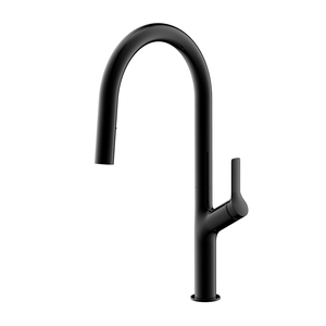 Robinet mélangeur KEMEN, robinet à poignée unique, acier inoxydable 304 316, noir, robinet de cuisine avec douchette extractible - Product Image 2