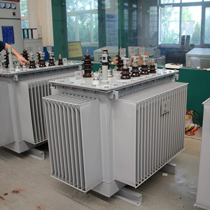 Transformateur triphasé immergé dans l'huile S11-1000KVA 10/0.4, Cuivre ou Aluminium, 380 Volts, 50/60 <span class=keywords><strong>Hertz</strong></span>, Fabricant - Product Image 6
