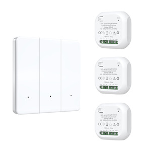 Phục hồi siêu khoảng cách tuya thông minh chuyển đổi không dây Wifi + RF433 1/2/3 băng đảng 86 loại cao cấp điều khiển từ xa đèn thiết bị chuyển mạch - Product Image 3
