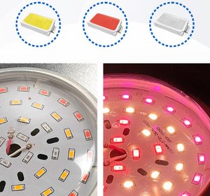 Bán buôn SMD2835 4000K 6500K dẫn thúc đẩy hoa đèn quang phổ đầy đủ 50W <span class=keywords><strong>80W</strong></span> UFO dẫn phát triển ánh sáng cho trái cây hoa - Product Image 5