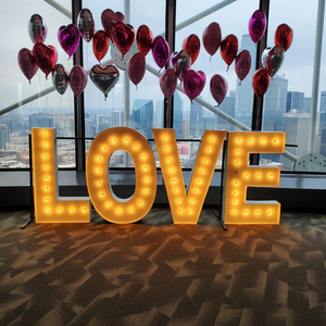 Lettres géantes LOVE en acrylique lumineuses pour mariage, lettres lumineuses LED, lettres de marquise de 4 pieds, lettres et chiffres de marquise - Product Image 3