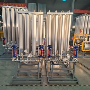 Hebei Zhengxin 100 Nm/h Erdgas/Stickstoff/Argon/<span class=keywords><strong>CO2</strong></span>/Sauerstoff-kompatibles Multigas-Verdampfer-Set mit Doppelweg-Druckregler - Product Image 2