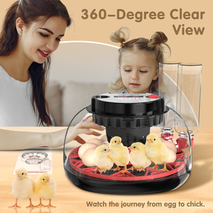 Incubateur à œufs Wonegg multifonctionnel certifié CE, 12 œufs, avec retournement des œufs et contrôle de la température, en vente - Product Image 4