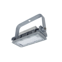 Projecteur LED industriel 100W IP65 WF2 AC220V 110-440lm/W pour usage extérieur, économie d'énergie, alliage d'argent, lumière du jour 6000K, 100 000 heures