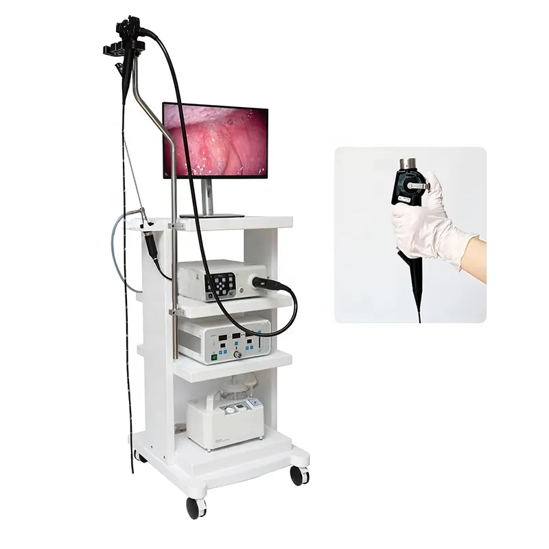Precio barato médico laparoscópico GASTROSCOPIO colonoscopio endoscopio endoscópico laparoscopia Flexible veterinario endoscopio Cámara