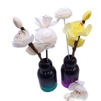 Bouteille d'aromathérapie en verre sodocalcique dégradé, flacon vide pour parfum d'intérieur, sans flamme, pour huiles essentielles volatiles, livraison immédiate