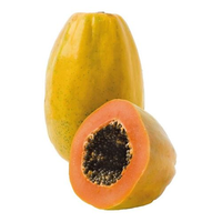 Papaye hybride F1 à haut rendement, pureté 99 %, germination 80 %, pour les producteurs professionnels recherchant une qualité de fruit constante et commercialisable