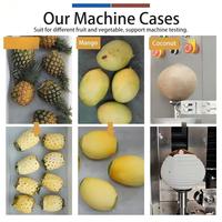 FXP-66S Commerciële Bakkerij Fruit Schilmachine RVS 304 Tafelmodel Papaya Kokosnoot Meloen Ananas Schilmachine