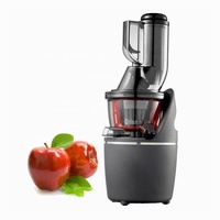 Hoge Sapopbrengst Koude Pers Juicer 76Mm Brede Parachute Langzaam Kauwen Voor Thuis Keuken Smoothie Dessertmaker Machine