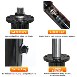 बेस्ट सेलिंग सिंगल एक्शन हाइड्रोलिक Hsg 12-टन बोर 100 मिमी डबल अभिनय स्ट्रोक 50-300 मिमी सिलेंडर डबल अभिनय स्ट्रोक 50-मिमी सिलेंडर डबल अभिनय फोर्कलिफ्ट श्रृंखला - Product Image 2