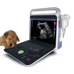Industrial Vet Body 3D Handheld Scan 5d Vets Pet Hospital Scanner Máquina de ultrasonido portátil Máquina de escáner de ultrasonido
