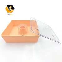 Vente en gros Nouvel outil d'apiculture Mangeoire carrée européenne Mangeoire pour ruche Mangeoire pour abeilles Outils pour abeilles