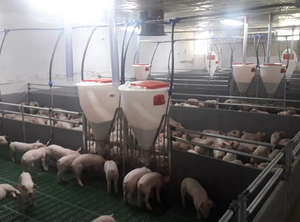 Fabricant d'équipements agricoles pour porcs/chèvres/moutons/bovins en Chine, production de divers équipements d'aquaculture - Product Image 2