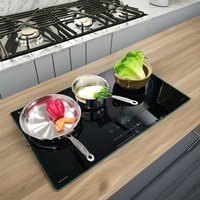 Cuisinière à induction multi-têtes haute puissance Four électrique en céramique intégré Efficacité énergétique Usage domestique Sortie d'usine