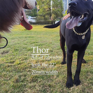 20mm Big <strong>Dog</strong> <strong>Chain</strong> Gold <strong>Dog</strong> <strong>Collar</strong> Zircon Cuban Link <strong>Chain</strong> Handmade Iced Out Diamond Exaggerated Dollar Pendant Cuban <strong>Dog</strong> <strong>Chain</strong> - Product Image 4