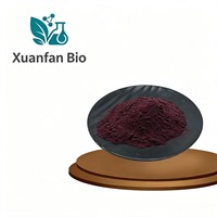 Pasokan Pabrik Ekstrak Anthocyanin Blueberry Berkualitas Tinggi 25% 40% Bubuk Grade Makanan Kemasan Drum Vakum