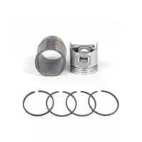 Piston pour PEUGEOT 406 SIGMA, garantie 1 an, fabriqué à TW, diamètre X