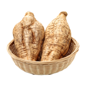 Pasokan stok bubuk peptida <span class=keywords><strong>Pueraria</strong></span> <span class=keywords><strong>pueraria</strong></span> 30%-98% ekstrak alami <span class=keywords><strong>pueraria</strong></span> - Product Image 4