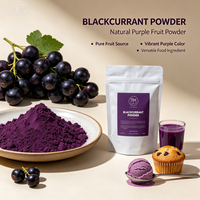 Poudre de fruit de cassis et extrait de cassis - Livraison rapide depuis l'entrepôt UE - Summit