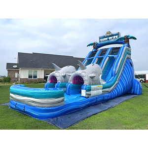Toboggan aquatique gonflable géant commercial, toboggan aquatique gonflable en PVC, toboggans aquatiques gonflables à deux voies pour les jeux aquatiques d'été - Product Image 3