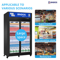 Réfrigérateur commercial à température unique pour la conservation des aliments, avec porte vitrée, éclairage LED et double porte
