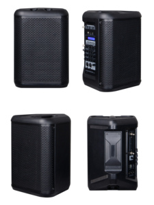 Haut-parleur portable d'extérieur OEM personnalisé RS-708, 8 pouces, sans fil, 2 microphones, karaoké, fête, DJ, caixa de som - Product Image 2