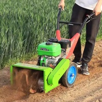 Machine à désherber mécanique Mini tondeuse à gazon agricole à essence