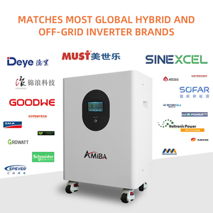 48v <span class=keywords><strong>300ah</strong></span> 600ah <span class=keywords><strong>lifepo4</strong></span> סוללה 15kwh 30kwh 30kwh אחסון אנרגיה ביתית רכוב 8000 קיר מחזורים 10 שנים אחריות על מערכת סולארית - Product Image 3