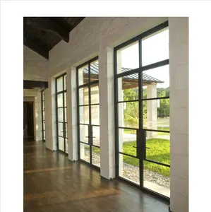 High Quality Iron Glass Wall Popular Glass House Models For Iron Glass Window And Door