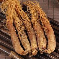 Racine de ginseng rouge séchée AD de qualité supérieure, complément alimentaire naturel à base de plantes, stimule l'énergie, soutient la santé immunitaire