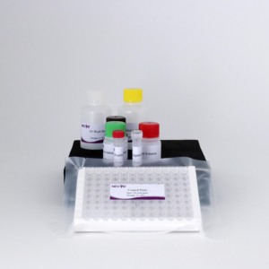 Kit per Test degli anticorpi ELISA PEDV ad alta sensibilità | Rilevamento del Virus della <span class=keywords><strong>diarrea</strong></span> epidemica suina | Strumento diagnostico veterinario - Product Image 5