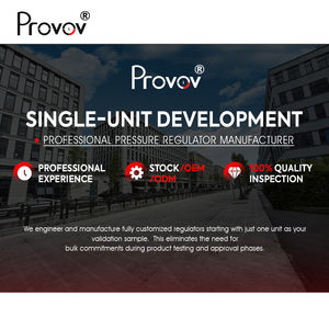 Debimetre ile gaz silindiri karbon dioksit basınç düşürücü vana elektrikli 110V <span class=keywords><strong>CO2</strong></span> isıtıcı regülatörü - Product Image 5