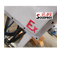 Machine de remplissage automatique antidéflagrante Solidpack EX à 8 têtes pour liquides chimiques, revêtements, solvants et acétone (10L)