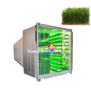 Automatic hydroponic wheatgrass machine barley hydroponic fodder machine