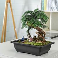 Kotak Pot tanaman persegi panjang Dekorasi balkon luar ruangan besar kualitas tinggi Pot bunga plastik hitam mengkilap untuk rumah untuk Bonsai taman besar