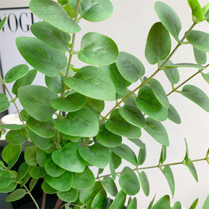 Feuille d'eucalyptus artificielle Qingyu Chronicle, verte et réaliste, pour la décoration intérieure - Product Image 3