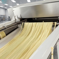 Machine à pâtes multifonctionnelle automatique en acier inoxydable pour la fabrication de spaghetti et de nouilles, production industrielle de pâtes, moteur haute efficacité