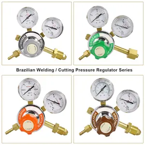 Fully Brass Brazilian Type Industrial Nitrogen N2 Welding/Cutting Pressure Regulator With CGA580 Or Customized Inlet Connection