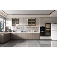 Diseño Gratuito por 48 Horas, Gabinete de Cocina Modular Moderno de Acero Inoxidable Personalizado con Diseño 3D, 2 Años de Garantía y Soporte en Línea