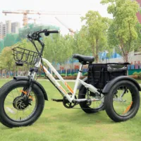 Magazzino USA stock MGIEI triciclo elettrico pneumatico grasso 750W etrike con tricicli elettrici Cargo batteria 18.2AH